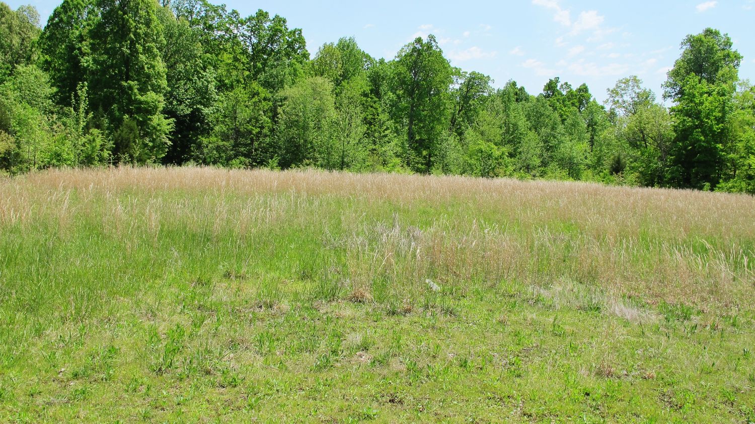 538 Dawson Rd, Princeton, KY 42445